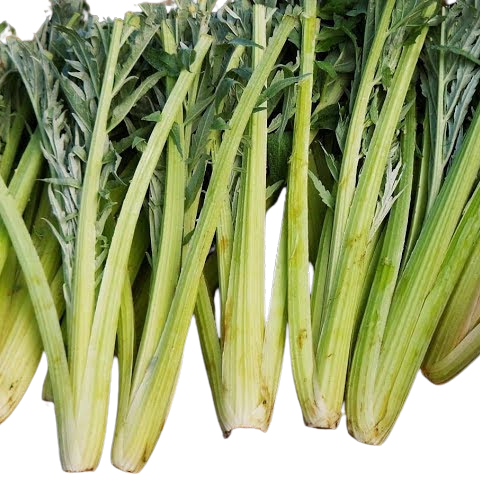 Artichaut