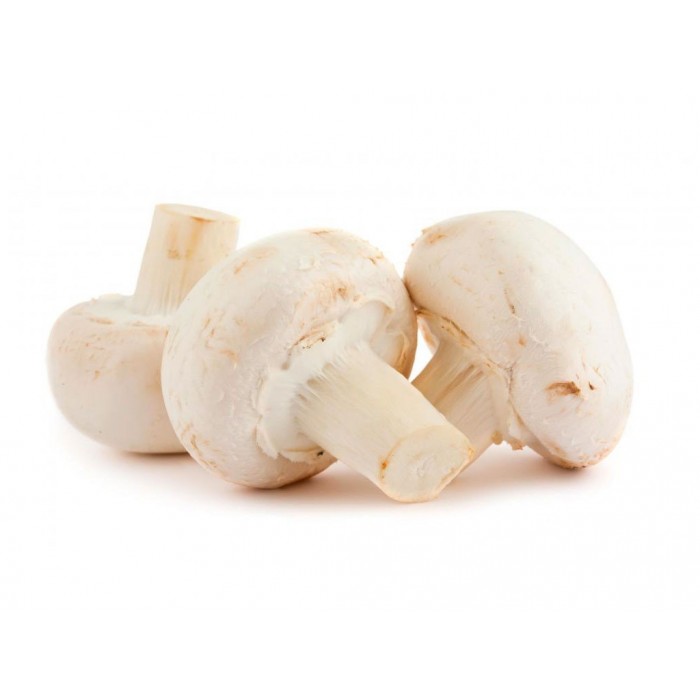 Champignons de paris