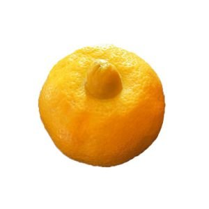 Citron beldi bergamote