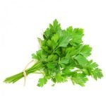 Coriandre