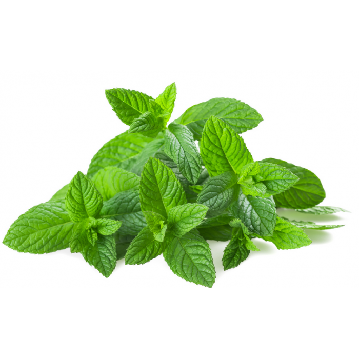 Menthe pouliot
