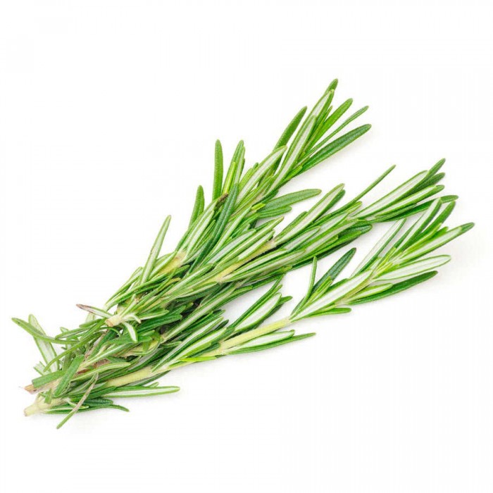 Romarin